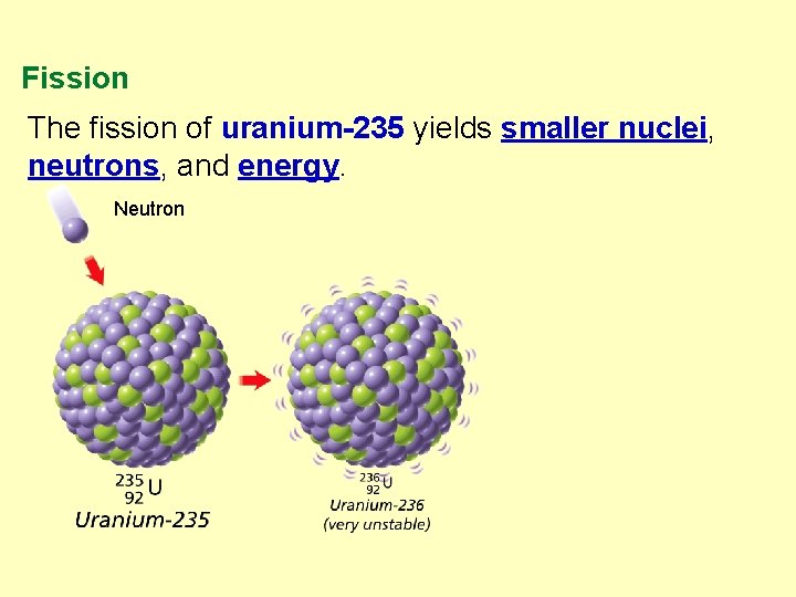 Fission The fission of uranium-235 yields smaller nuclei, neutrons, and energy. Neutron 