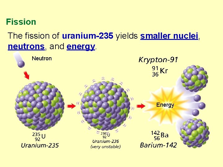 Fission The fission of uranium-235 yields smaller nuclei, neutrons, and energy. Neutron Energy 