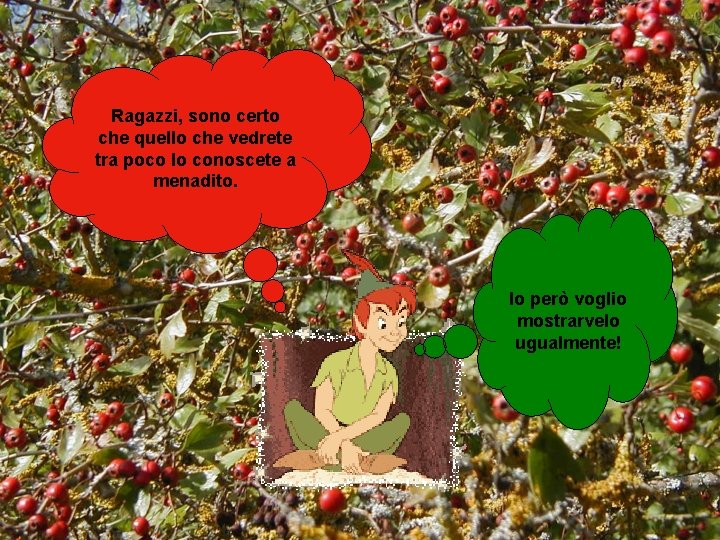 Ragazzi, sono certo che quello che vedrete tra poco lo conoscete a menadito. Io Ragazzi, sono certo che quello che vedrete tra poco lo conoscete a menadito. Io