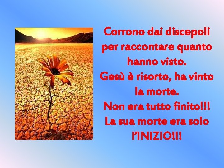 Corrono dai discepoli per raccontare quanto hanno visto. Gesù è risorto, ha vinto la