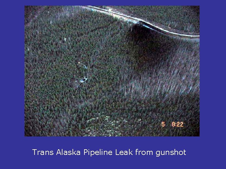 Trans Alaska Pipeline Leak from gunshot 