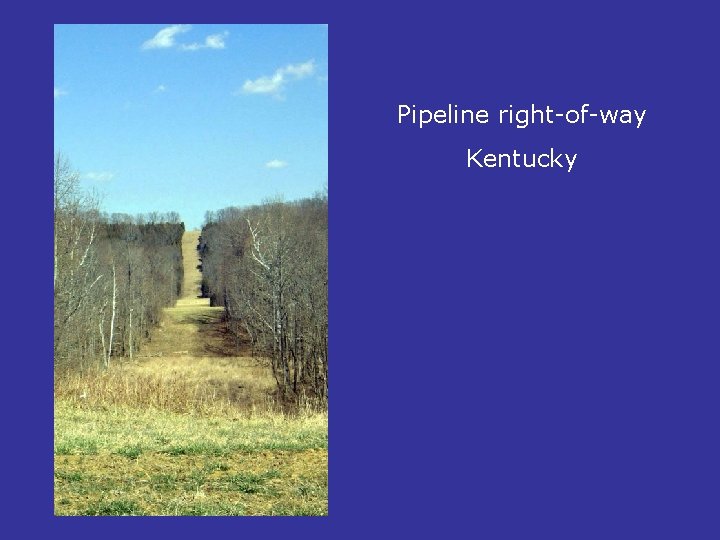 Pipeline right-of-way Kentucky 