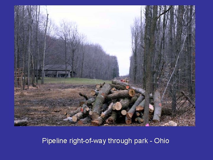 Pipeline right-of-way through park - Ohio 