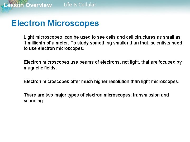 Lesson Overview Life Is Cellular Electron Microscopes Light microscopes can be used to see