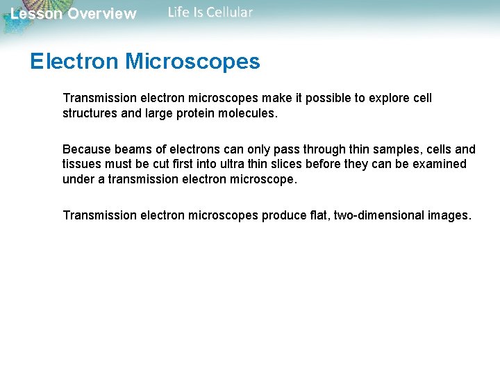 Lesson Overview Life Is Cellular Electron Microscopes Transmission electron microscopes make it possible to