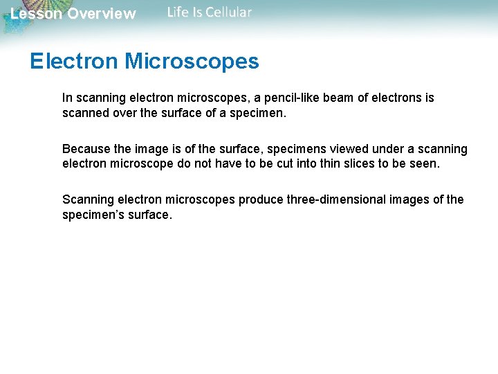 Lesson Overview Life Is Cellular Electron Microscopes In scanning electron microscopes, a pencil-like beam
