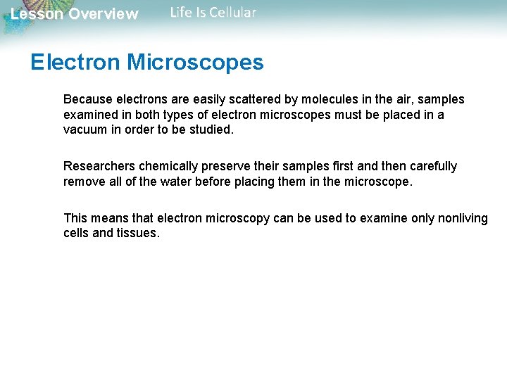 Lesson Overview Life Is Cellular Electron Microscopes Because electrons are easily scattered by molecules