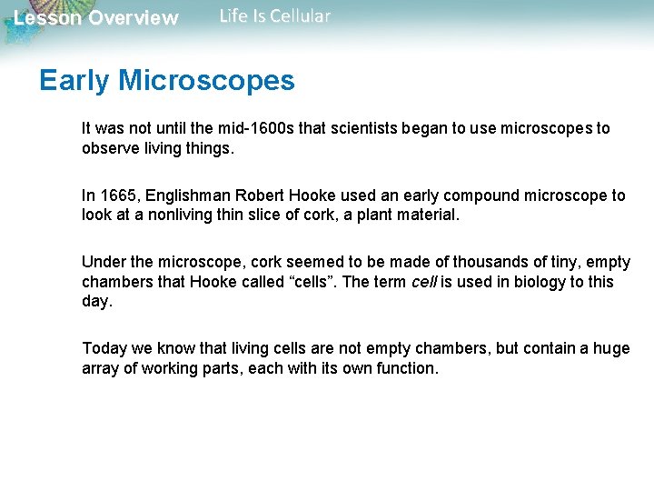 Lesson Overview Life Is Cellular Early Microscopes It was not until the mid-1600 s