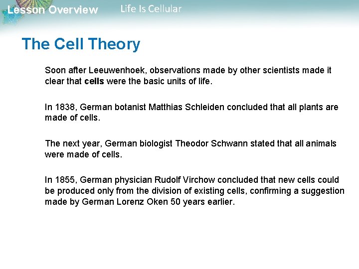 Lesson Overview Life Is Cellular The Cell Theory Soon after Leeuwenhoek, observations made by