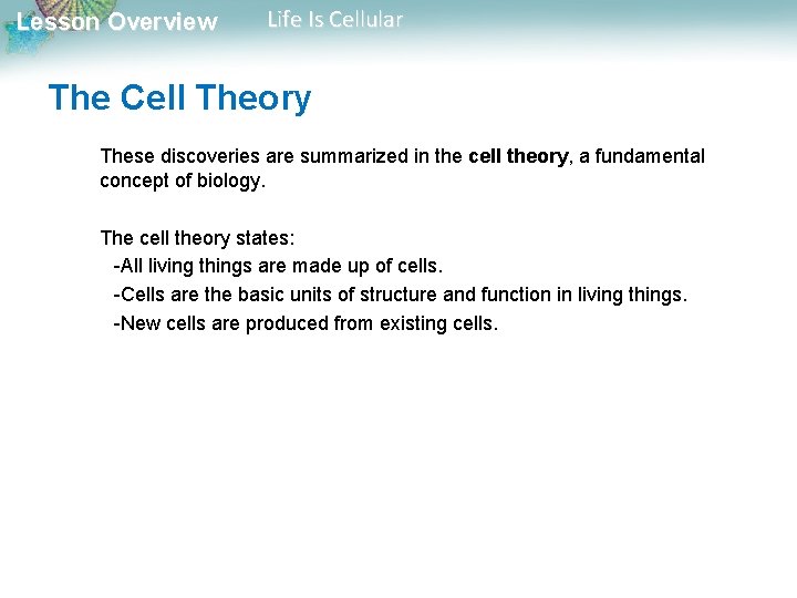Lesson Overview Life Is Cellular The Cell Theory These discoveries are summarized in the