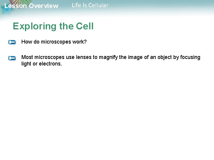 Lesson Overview Life Is Cellular Exploring the Cell How do microscopes work? Most microscopes