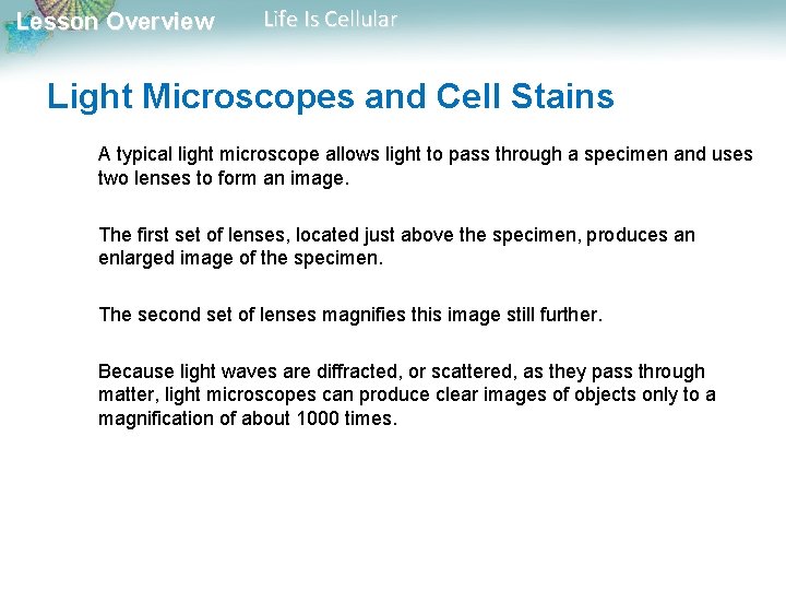 Lesson Overview Life Is Cellular Light Microscopes and Cell Stains A typical light microscope