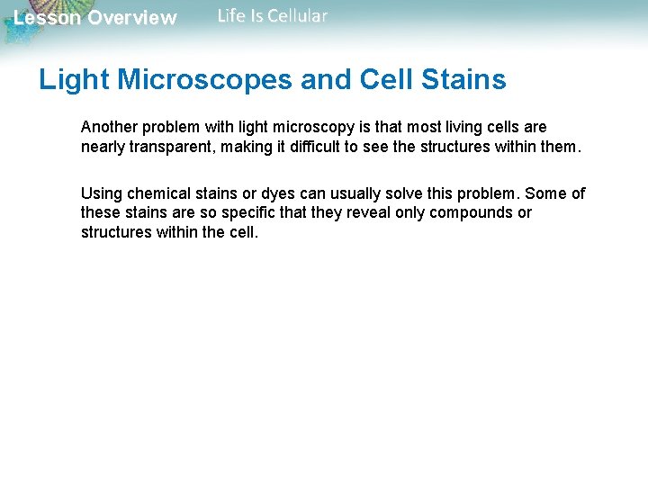 Lesson Overview Life Is Cellular Light Microscopes and Cell Stains Another problem with light