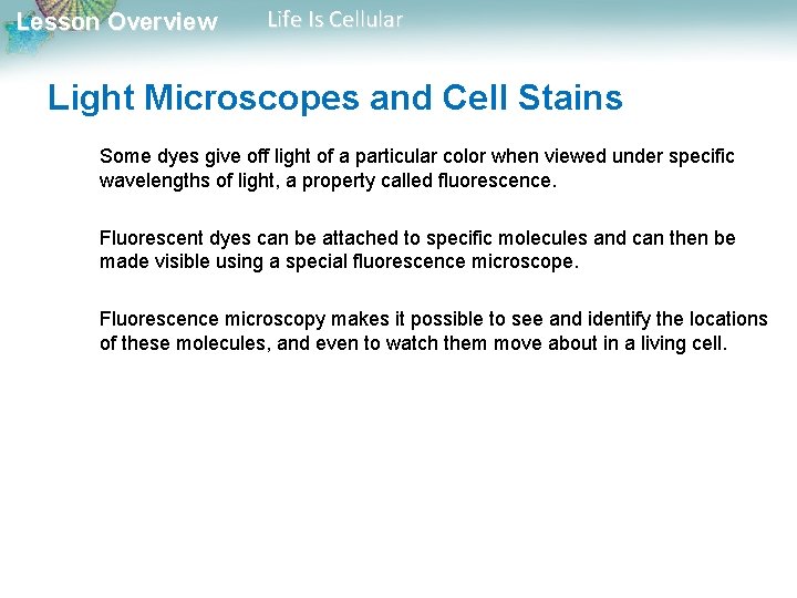Lesson Overview Life Is Cellular Light Microscopes and Cell Stains Some dyes give off