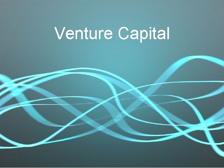 Venture Capital 