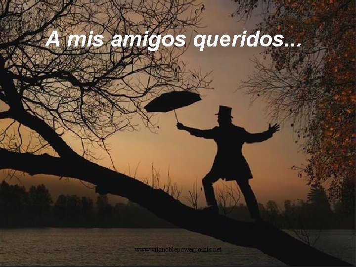 A mis amigos queridos. . . www. vitanoblepowerpoints. net 