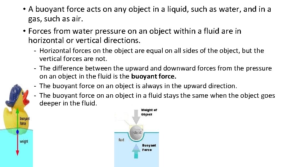  • A buoyant force acts on any object in a liquid, such as