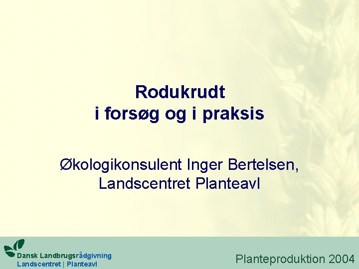 Rodukrudt i forsøg og i praksis Økologikonsulent Inger Bertelsen, Landscentret Planteavl Dansk Landbrugsrådgivning Landscentret