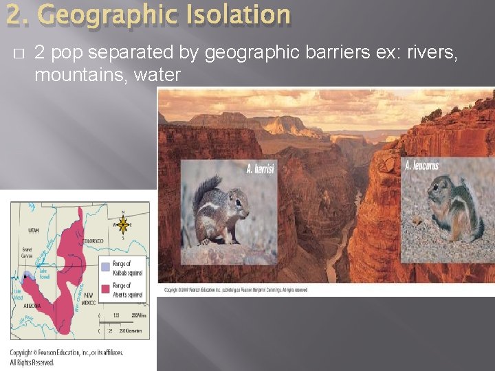 2. Geographic Isolation � 2 pop separated by geographic barriers ex: rivers, mountains, water