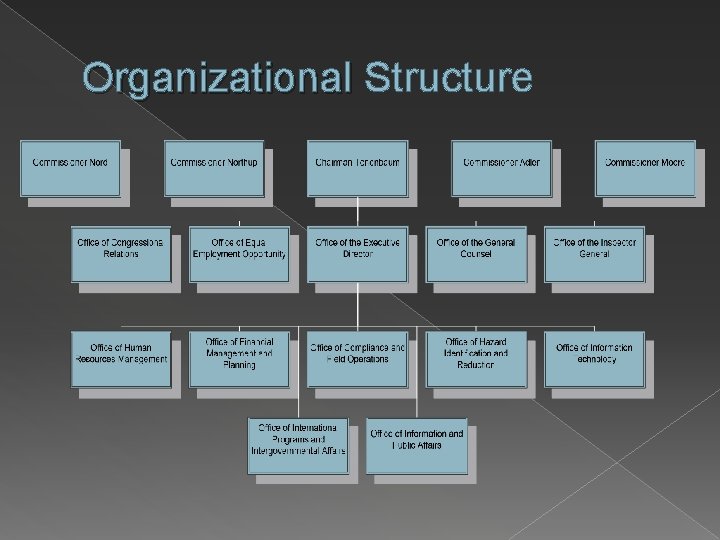 Organizational Structure 