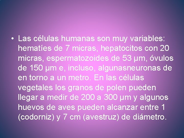  • Las células humanas son muy variables: hematíes de 7 micras, hepatocitos con