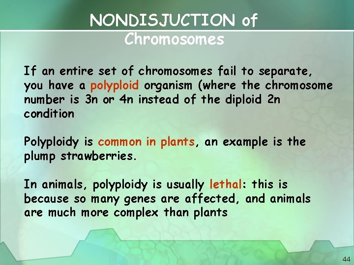 NONDISJUCTION of Chromosomes If an entire set of chromosomes fail to separate, you have