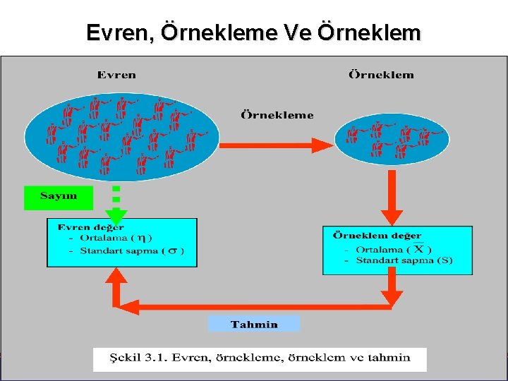 Evren, Örnekleme Ve Örneklem 