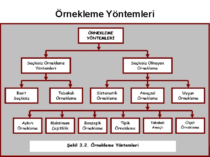 Örnekleme Yöntemleri 