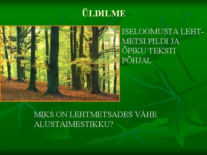 ÜLDILME ISELOOMUSTA LEHTMETSI PILDI JA ÕPIKU TEKSTI PÕHJAL MIKS ON LEHTMETSADES VÄHE ALUSTAIMESTIKKU? 