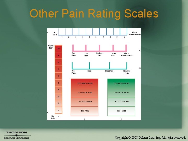 Other Pain Rating Scales Copyright © 2008 Delmar Learning. All rights reserved. 