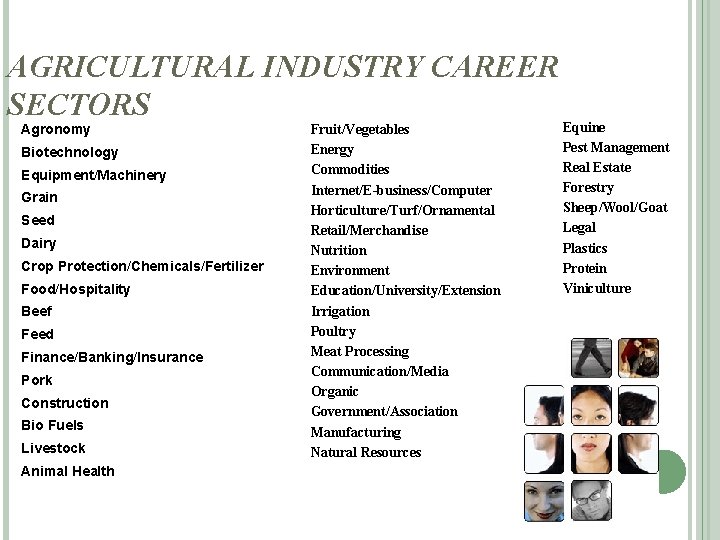 AGRICULTURAL INDUSTRY CAREER SECTORS Agronomy Biotechnology Equipment/Machinery Grain Seed Dairy Crop Protection/Chemicals/Fertilizer Food/Hospitality Beef
