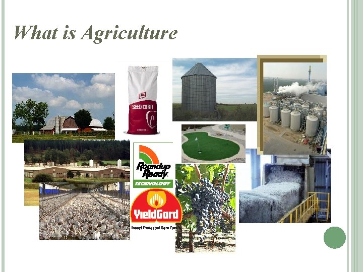 What is Agriculture 