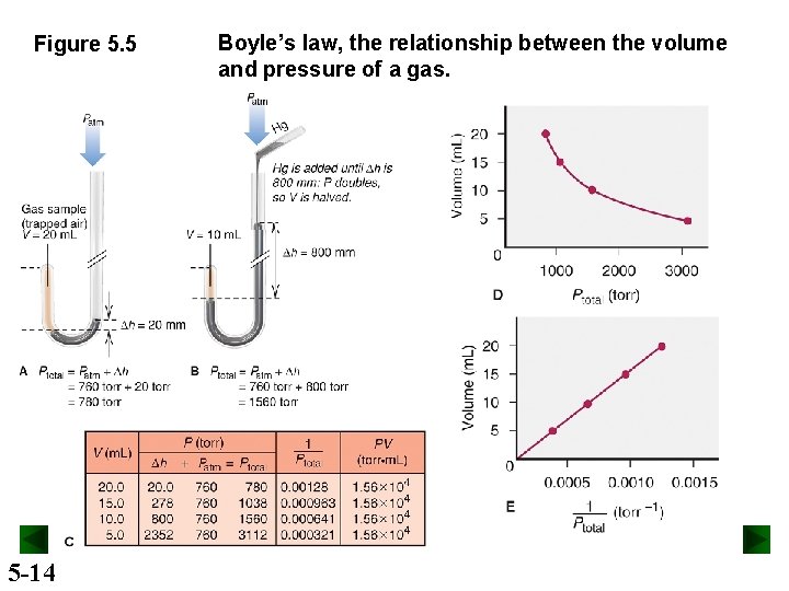 Figure 5. 5 5 -14 Boyle’s law, the relationship between the volume and pressure