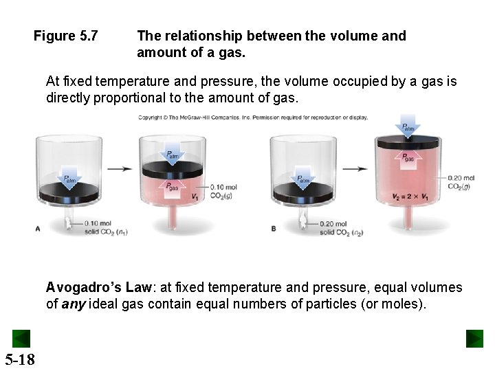 Figure 5. 7 The relationship between the volume and amount of a gas. At