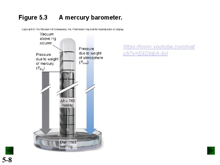 Figure 5. 3 A mercury barometer. https: //www. youtube. com/wat ch? v=Ek. Dhlz. A-lw.