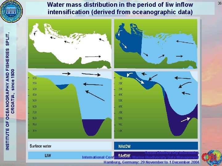 INSTITUTE OF OCEANOGRAPHY AND FISHERIES SPLIT, CROATIA, since 1930 Water mass distribution in the