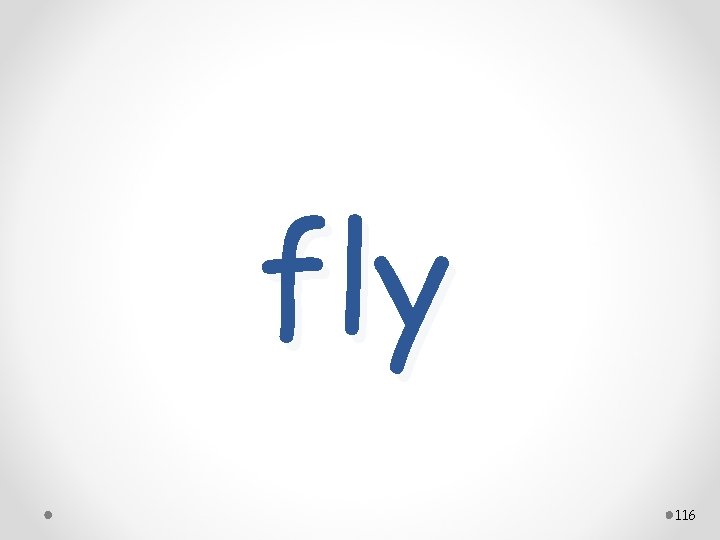 fly 116 