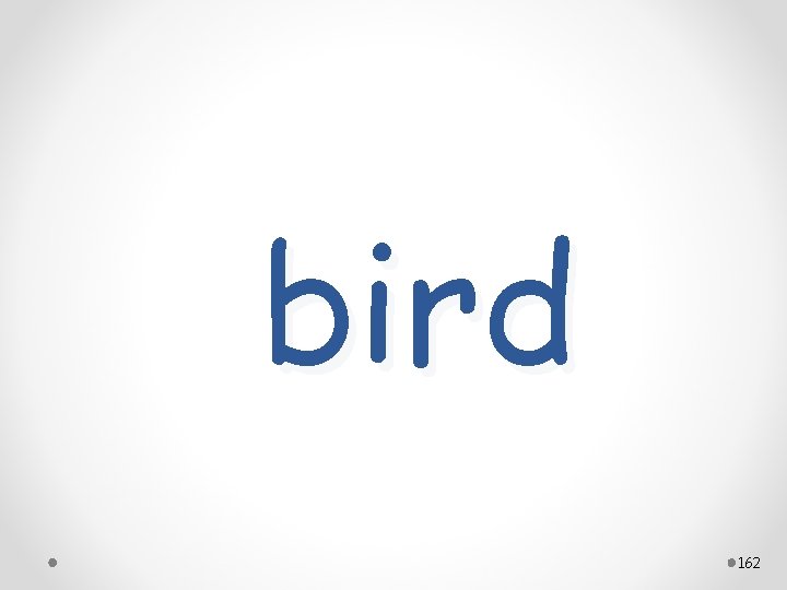 bird 162 