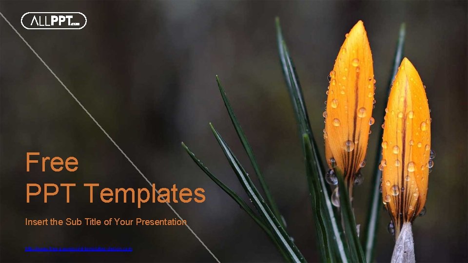 Free PPT Templates Insert the Sub Title of Your Presentation http: //www. free-powerpoint-templates-design. com