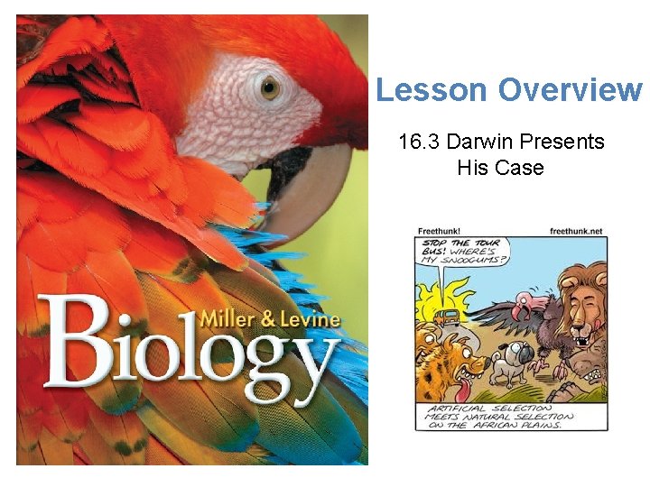 Lesson Overview Darwin Presents His Case Lesson Overview 16. 3 Darwin Presents His Case
