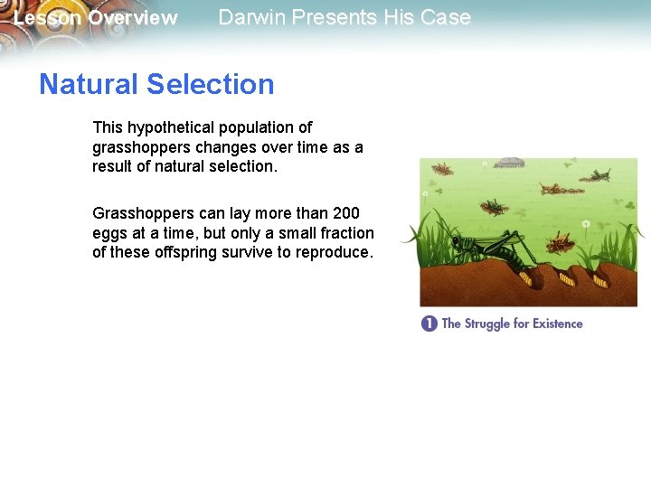 Lesson Overview Darwin Presents His Case Natural Selection This hypothetical population of grasshoppers changes