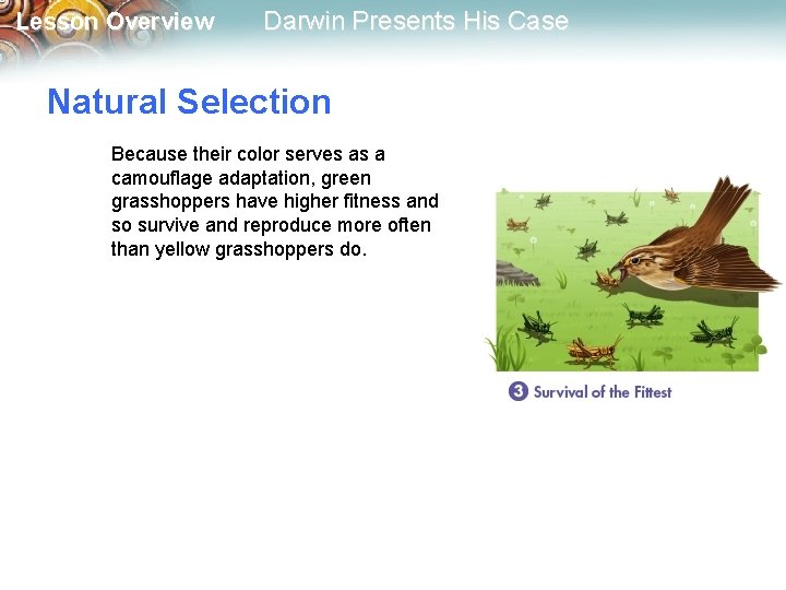 Lesson Overview Darwin Presents His Case Natural Selection Because their color serves as a