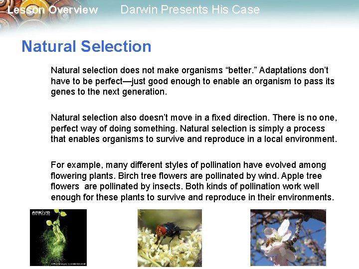 Lesson Overview Darwin Presents His Case Natural Selection Natural selection does not make organisms