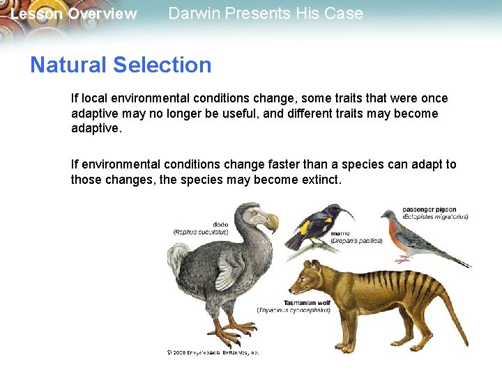Lesson Overview Darwin Presents His Case Natural Selection If local environmental conditions change, some