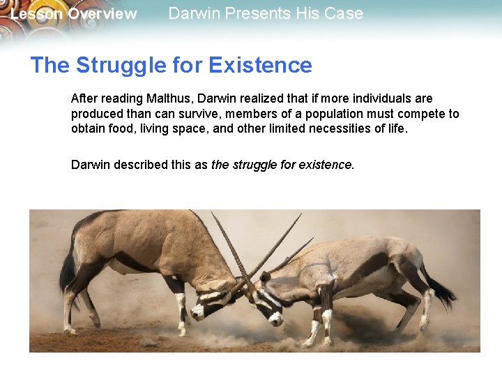 Lesson Overview Darwin Presents His Case The Struggle for Existence After reading Malthus, Darwin