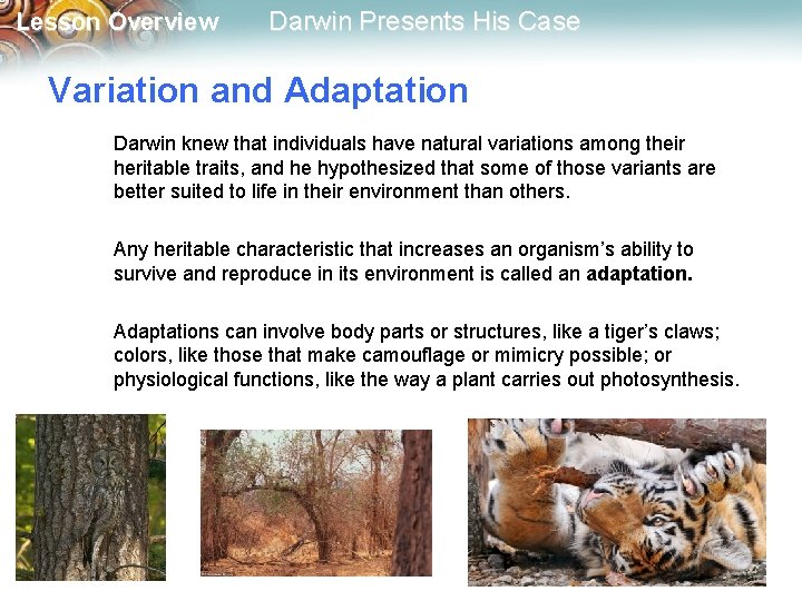 Lesson Overview Darwin Presents His Case Variation and Adaptation Darwin knew that individuals have