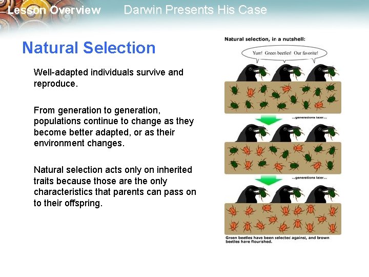 Lesson Overview Darwin Presents His Case Natural Selection Well-adapted individuals survive and reproduce. From