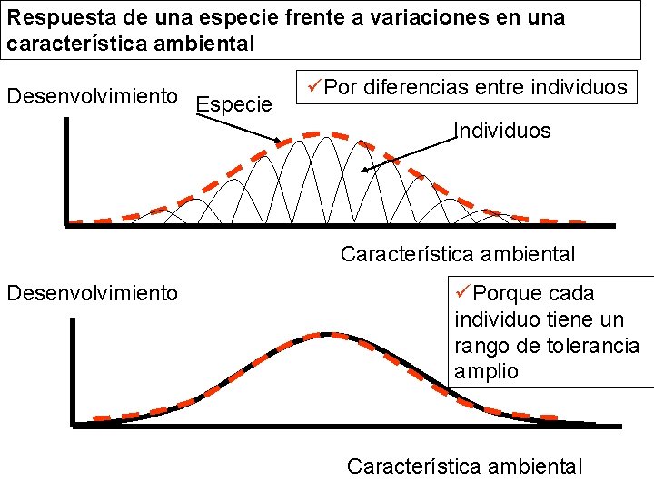 Respuesta de una especie frente a variaciones en una característica ambiental Desenvolvimiento Especie üPor Respuesta de una especie frente a variaciones en una característica ambiental Desenvolvimiento Especie üPor