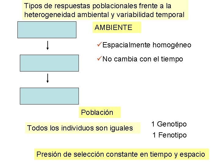 Tipos de respuestas poblacionales frente a la heterogeneidad ambiental y variabilidad temporal AMBIENTE üEspacialmente Tipos de respuestas poblacionales frente a la heterogeneidad ambiental y variabilidad temporal AMBIENTE üEspacialmente