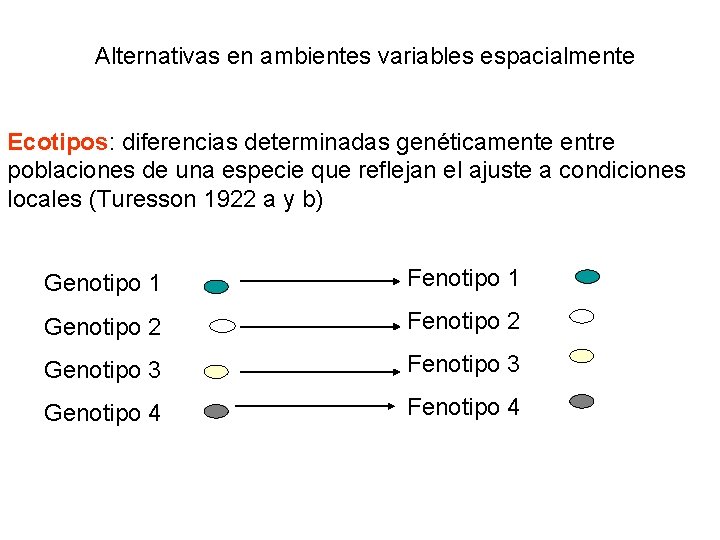 Alternativas en ambientes variables espacialmente Ecotipos: diferencias determinadas genéticamente entre poblaciones de una especie Alternativas en ambientes variables espacialmente Ecotipos: diferencias determinadas genéticamente entre poblaciones de una especie